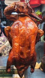 Roasted Duck